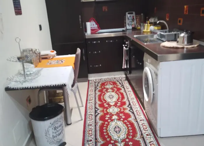 Bora Albania Me Vetsherbim 24 Prane Liqenit Tirana