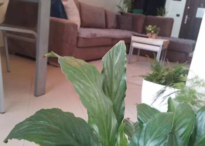 Bora Albania Me Vetsherbim 24 Prane Liqenit Appartamento Tirana