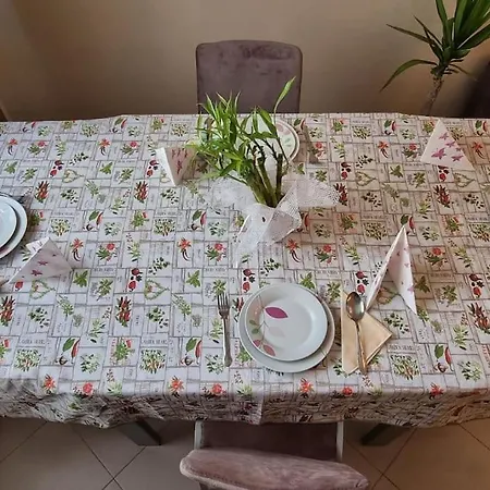 Bora Albania Me Vetsherbim 24 Prane Liqenit * Τίρανα