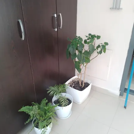 Bora Albania Me Vetsherbim 24 Prane Liqenit * Τίρανα