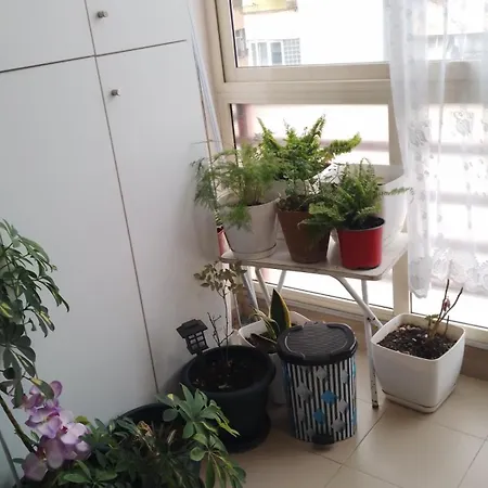 Διαμέρισμα Bora Albania Me Vetsherbim 24 Prane Liqenit Τίρανα