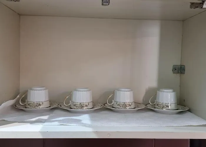 Bora Albania Me Vetsherbim 24 Prane Liqenit Apartment