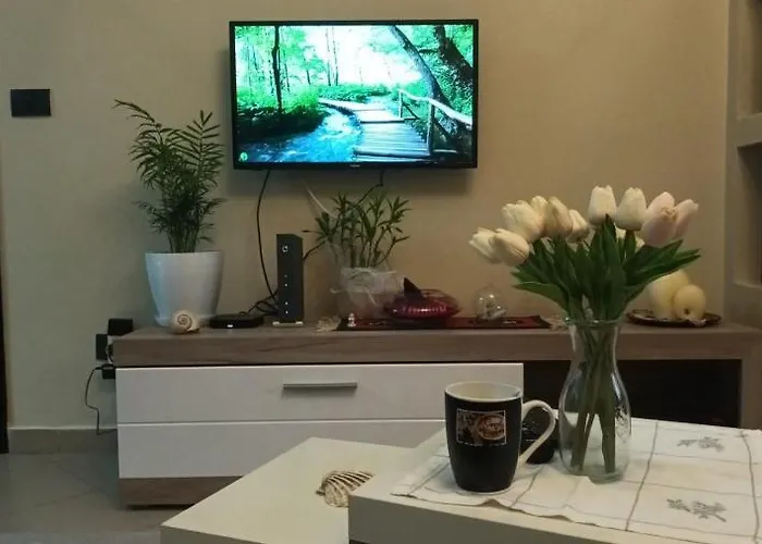 Bora Albania Me Vetsherbim 24 Prane Liqenit Apartment Tirana