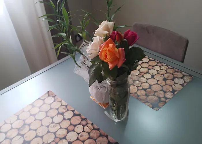 Apartment Bora Albania Me Vetsherbim 24 Prane Liqenit Tirana