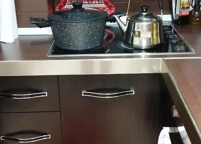 Apartment Bora Albania Me Vetsherbim 24 Prane Liqenit