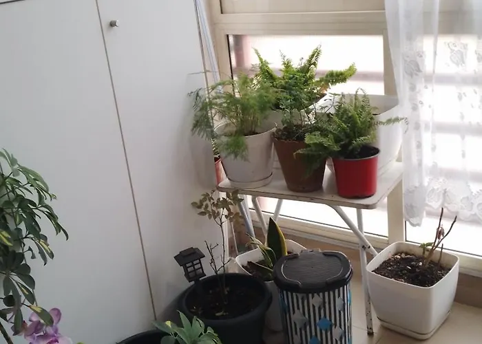 Apartment Bora Albania Me Vetsherbim 24 Prane Liqenit Tirana